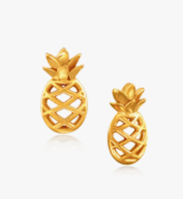 Cbo medical hypoallergy earring pinable
