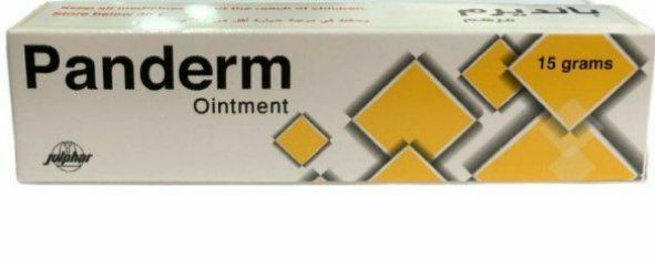 PANDERM OINTMENT 15G
